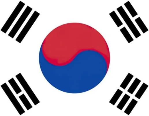 Flag of Republic of Korea print Backpack Travel Backpacks for Women Men College Backpack Computer Bag for Travel
