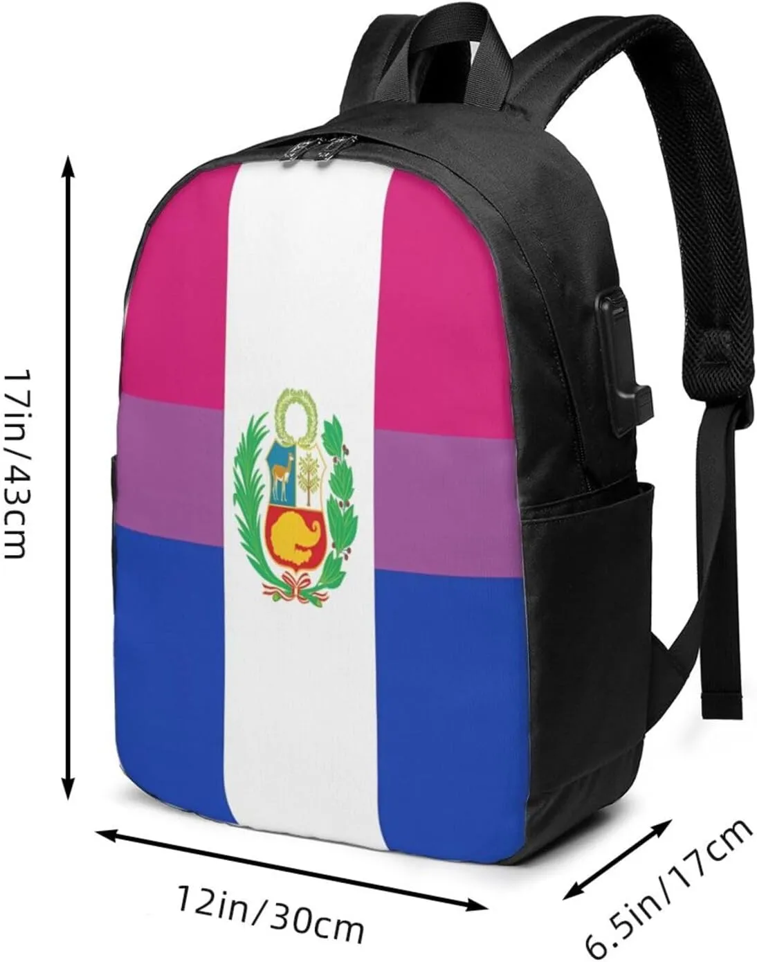Peru Peruvian LGBT Rainbow Pride Flag Laptop Backpacks Travel Backpack Casual Business Daypack Sport Rucksack Computer Bag Fits up to 17 Inch Notebook with USB Port